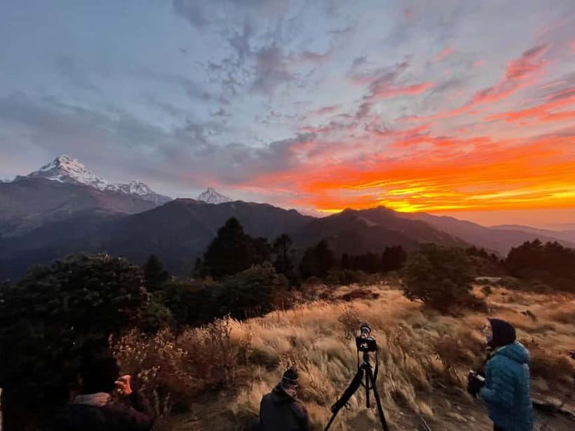 Pokhara: 9-Day Annapurna Base Camp Trek with Poon Hill - Poon Hill sunrise and the forest stretch to Tadapani or Chuile