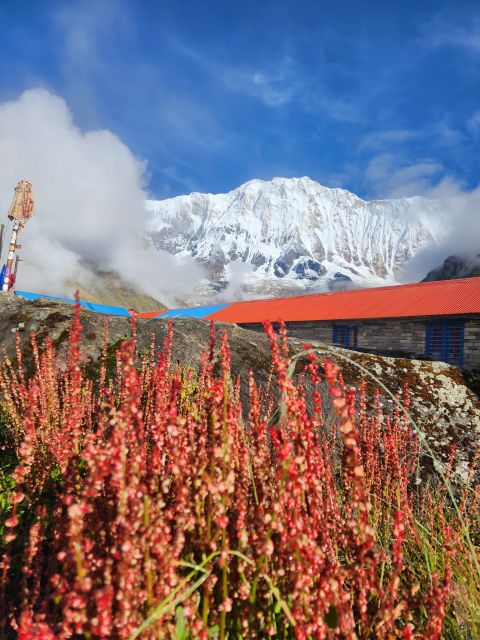 Pokhara: 9-Day Annapurna Base Camp Trek with Poon Hill - Chuile to Sinuwa: river confluences and calmer walking