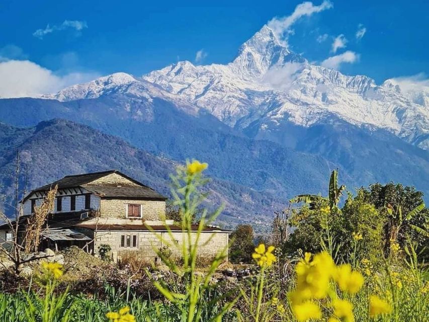 Pokhara: 9-Day Annapurna Base Camp Trek with Poon Hill - Deurali (3,200 m): forests, big peaks, and altitude you can feel