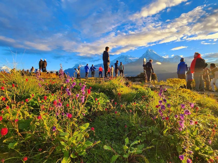 Pokhara: 9-Day Annapurna Base Camp Trek with Poon Hill - Annapurna Base Camp (4,130 m): the peak-day you came for