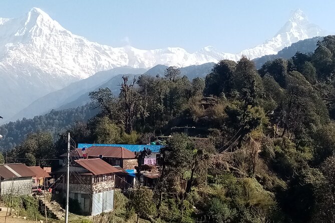 Pokhara: Annapurna Base Camp Trek Multi-Day Guided Tour - Who this trek suits best (and who should think twice)