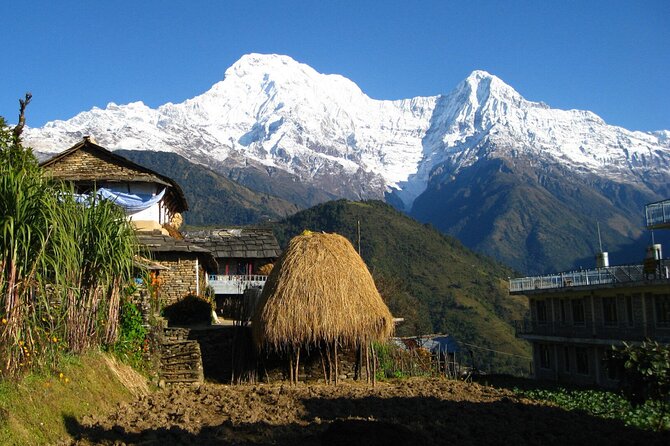 Pokhara: Dhampus Easy Trek for Families with YoungKids 2 Day Tour - Day 1: From Pokhara to Dhampus without making it a slog