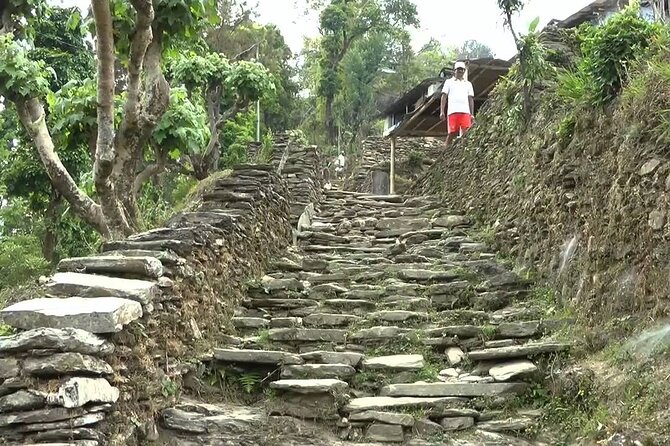 Pokhara: Dhampus Easy Trek for Families with YoungKids 2 Day Tour - The night stay: guesthouse comfort that makes mornings easier