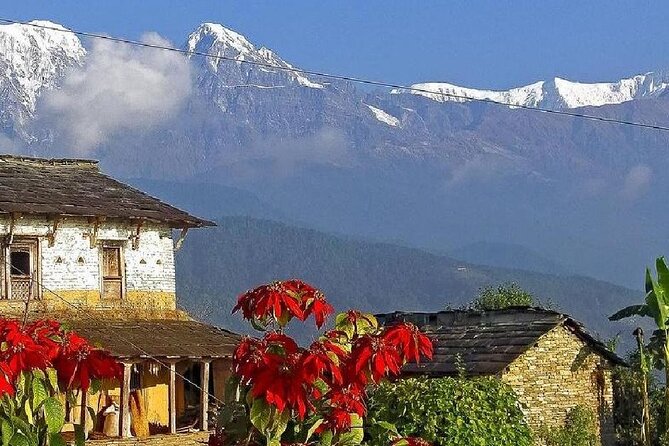 Pokhara: Dhampus Easy Trek for Families with YoungKids 2 Day Tour - Logistics that make the trek feel easier (and why they matter)