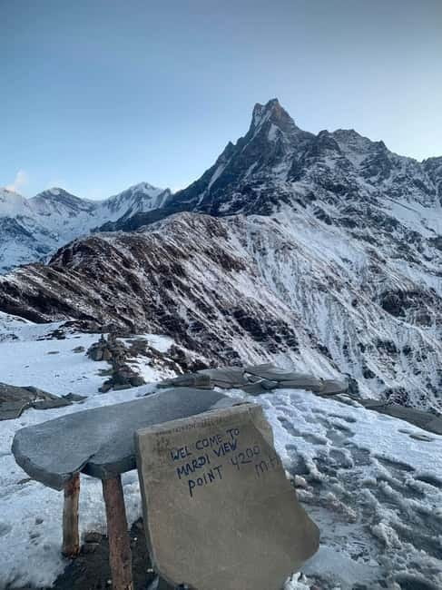 Pokhara: Majestic Mardi Base Camp Guided Trek with HotSpring - Forest Camp to High Camp (2500m to 4000m): rhododendron trekking with a payoff