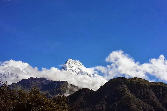 Pokhara: Poon Hill Ghorepani Short Trek - Day 1: from Pokhara drives to Tadapani’s quiet foothill feel