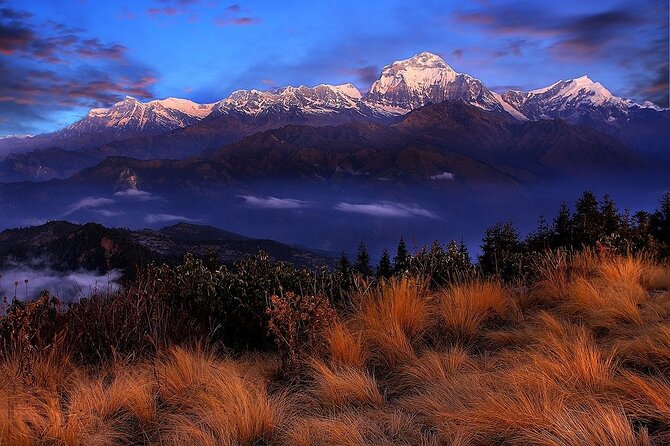 Pokhara: Poon Hill Ghorepani Short Trek - Should you book this Poon Hill Ghorepani short trek?