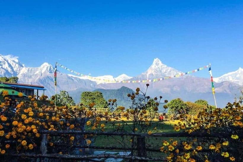 Pokhara: Poon Hill Trek - Key highlights worth planning around