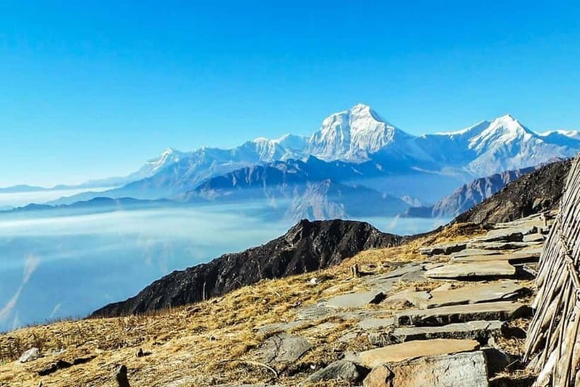 Pokhara: Poon Hill Trek - Ulleri to Ghorepani: rhododendron trails with real village stops