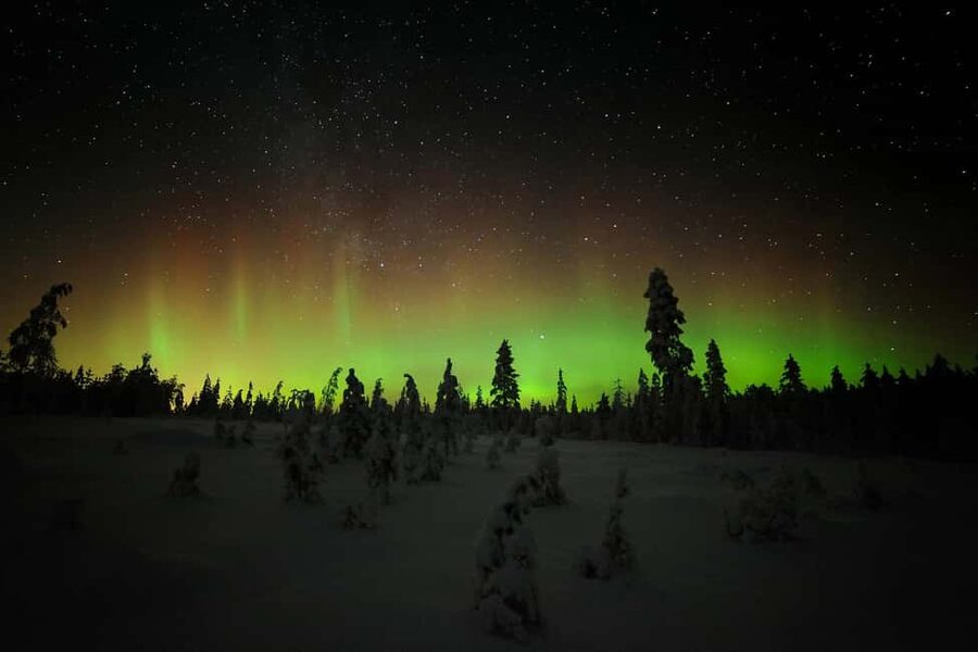Polar Night Snowshoe Trek - Key moments that make this trek worth your time