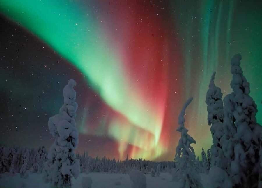 Polar Night Snowshoe Trek - Polar Night Snowshoeing in Lapland: What the 3 hours really feels like