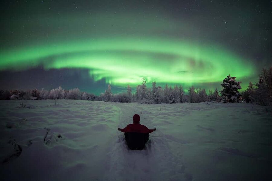 Polar Night Snowshoe Trek - Snowshoe walk through the forest: pace, stops, and why the route matters