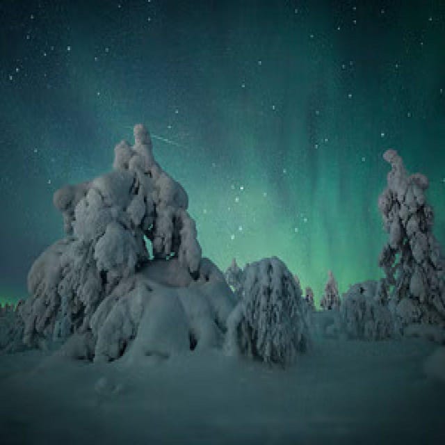 Polar Night Snowshoe Trek - Price and value: what $152 buys you (and what to check first)