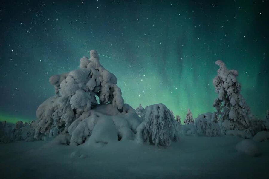 Polar Night Snowshoe Trek - Who should book this snowshoe trek (and who should think twice)