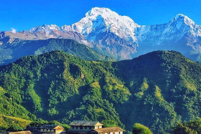 Poon Hill Ghandruk Circuit Trek from Pokhara 4 Days - Day 4: Ghandruk downhill through rhododendron to Pokhara lakeside