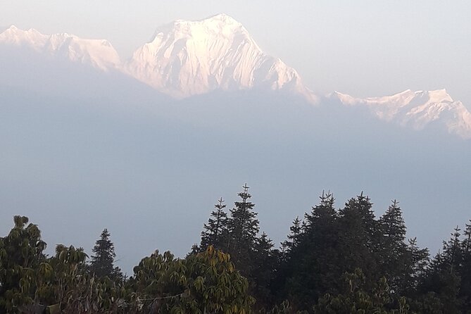Poon hill Trek 3 days - Beyond the climb: villages, rhododendrons, and mountain nature