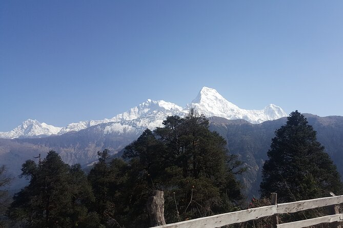 Poon hill Trek 3 days - Gear and comfort: micro spikes, poles, and what to bring