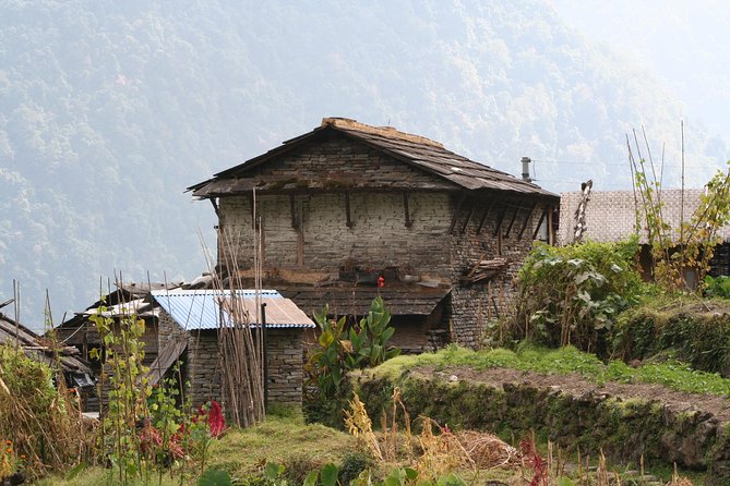 Poon Hill Trek - Ulleri to Ghorepani: Forest Walking and the Rise to 2,840 m