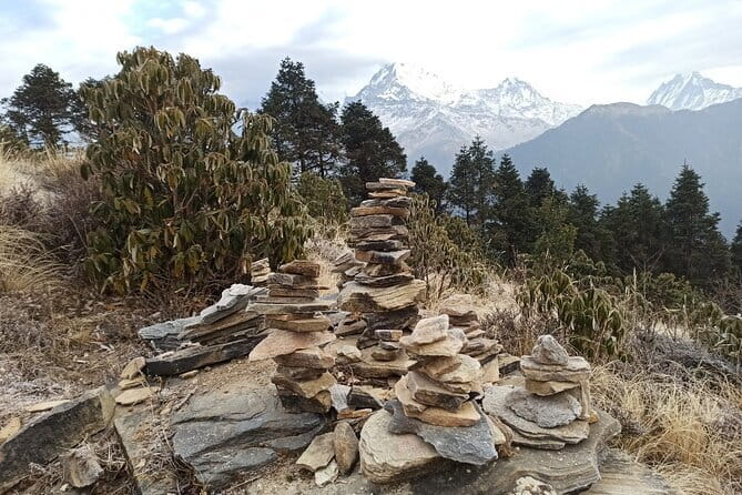 Poon Hill Trek from Pokhara 4 Days - Price and Logistics: Is $230 Good Value?