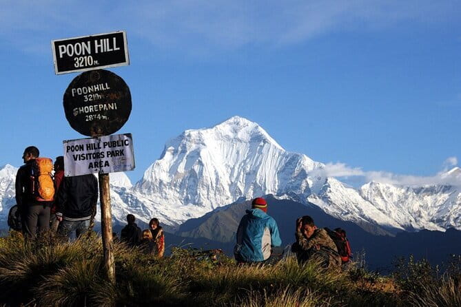Poon Hill Trek from Pokhara 4 Days - Day 4: Ghandruk Down to Pokhara (Rhododendron Forests and Farewell Views)