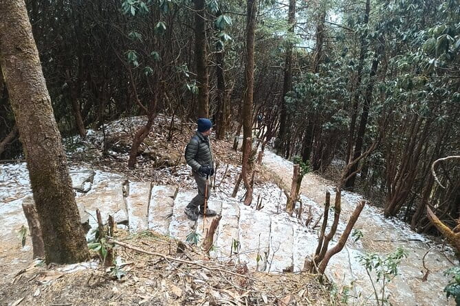 Poon Hill Trek from Pokhara 4 Days - What to Pack and How to Prepare for Moderate Fitness
