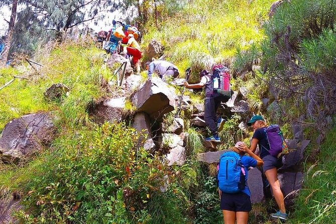 Popular Rinjani Trekking Tour Service To Summit For 2 Days Via Sembalun Trail - Waterfall stop: how Sendang Gile and Tiu Kelep fit in