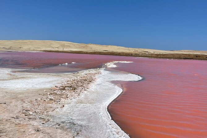 Premium Trekking Golden Shades - Golden Shades at Paracas National Reserve: The key highlights