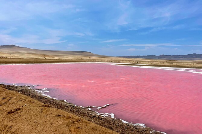 Premium Trekking Golden Shades - Stop-to-stop in Paracas: what the 5 hours really feels like