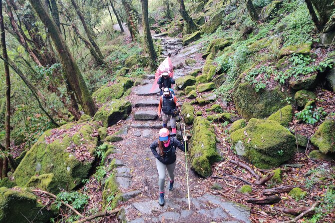 Private 12-Day All Inclusive Guided Annapurna Base Camp Trek Tour - Sunrise at ABC, then down to Sinuwa and Jhinu Danda