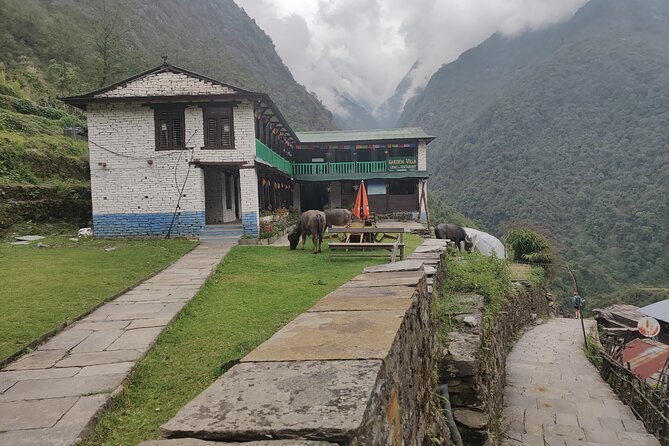 Private 12-Day All Inclusive Guided Annapurna Base Camp Trek Tour - The Pokhara celebration and the Kathmandu certificate day