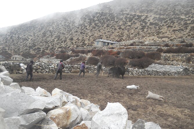 Private 12 - Day Everest Base Camp Trekking - Day 5: Tengboche to Dingboche—rocky terrain and mani stones