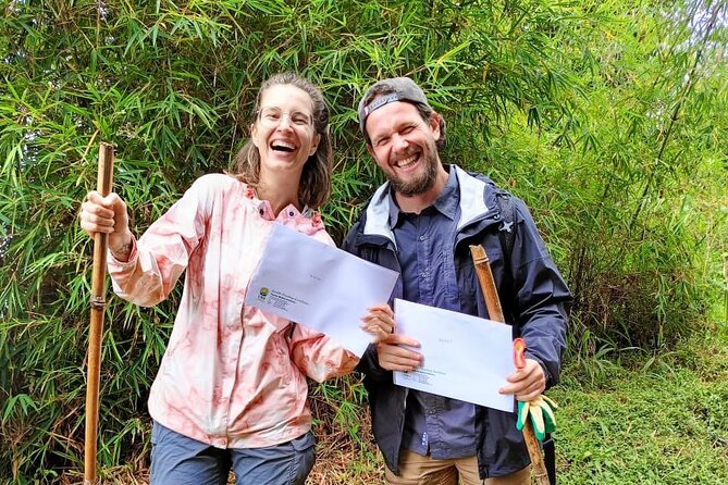 Private 2 Days Volcano Golden Monkey and Bwindi Gorilla Trek - Volcanoes National Park: Golden Monkey trekking in bamboo country