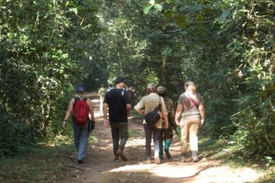 Private 2 Days Volcano Golden Monkey and Bwindi Gorilla Trek - The drive to Bwindi after lunch: why this schedule feels fast