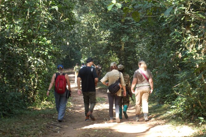 Private 2 Days Volcano Golden Monkey and Bwindi Gorilla Trek - The drive to Bwindi after lunch: why this schedule feels fast