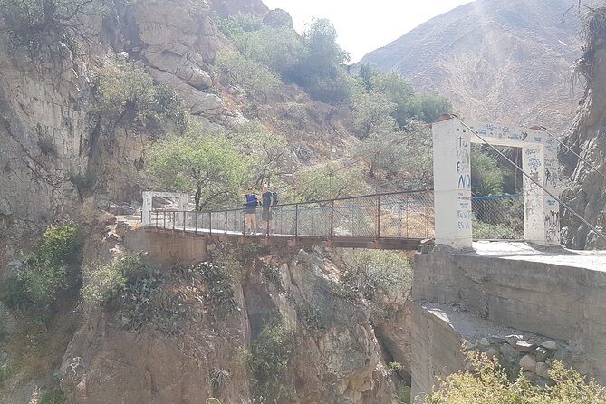 Private 3 Day Colca Canyon Trekking tour (superior Service) - Day 2: Llahuar Lodge to Sangalle Oasis—Hanging Bridges, Apacheta, and the Midday Pool