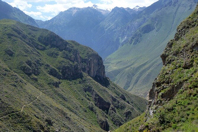 Private 3 Day Colca Canyon Trekking tour (superior Service) - Day 3: Dawn Ascent from Cabanaconde, Summit Views, Then Chivay Food and Vicuña Reserves