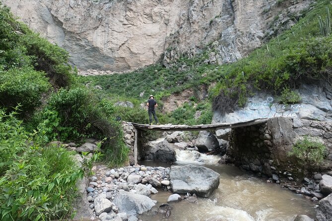Private 3 Day Colca Canyon Trekking tour (superior Service) - The Service Style: Why This Tour Keeps Getting Praised