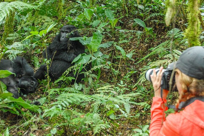 Private 3 Day Gorilla Trekking Safari in Uganda - Day 3: Green Equator Stop, Lunch and Photos, Then Entebbe Airport
