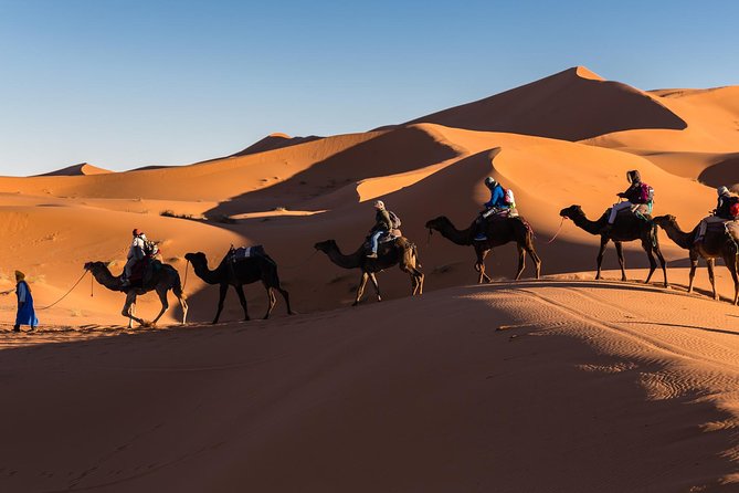 Private 3-days Desert tour from Zagora to Erg chigaga Dunes & Camel trek - Key things that make this desert tour work
