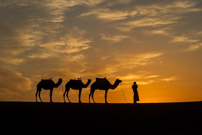 Private 3-days Desert tour from Zagora to Erg chigaga Dunes & Camel trek - Camp comforts and meals: what you can count on (and what to bring yourself)