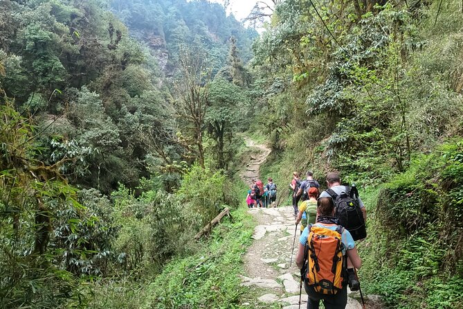 Private 4 - Day Poon Hill Trekking - Day 1: Ulleri Views First, Then the Jeep-and-Steps Rhythm to Banthanti