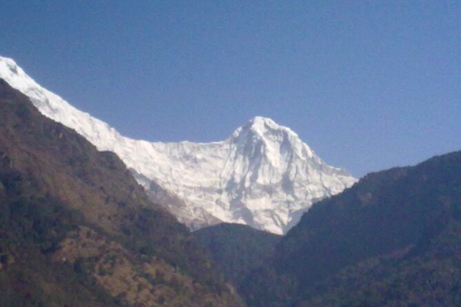 Private 4 - Day Poon Hill Trekking - Day 3: Poon Hill Sunrise (With a Weather Reality Check), Then Tadapani via Rhododendron