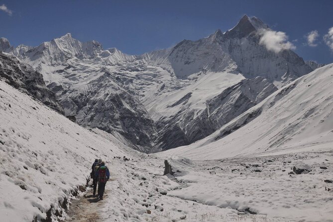 Private 7 - Day Annapurna Base Camp Trekking - Deurali to Annapurna Base Camp: The Modi River, Alpine Forests, and an Icy Cave (Day 4)