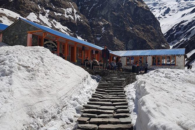 Private 7 - Day Annapurna Base Camp Trekking - Pokhara Lakeside to Chhomrong: Getting Into the Right Headspace on Day 1