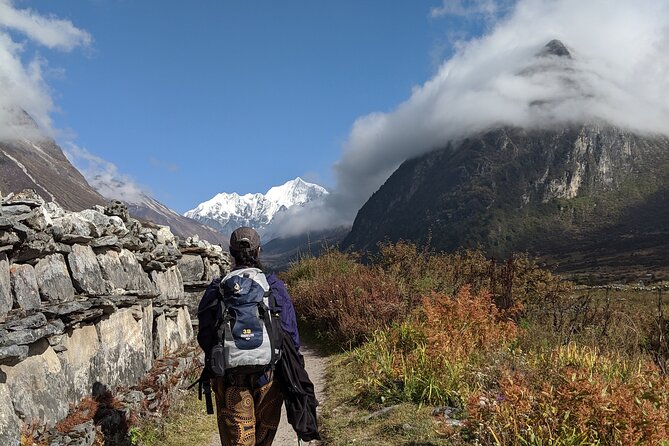 Private 8 - Day Langtang Trekking - Day 7 down to Syafrubensi: finishing the valley section with a forest descent
