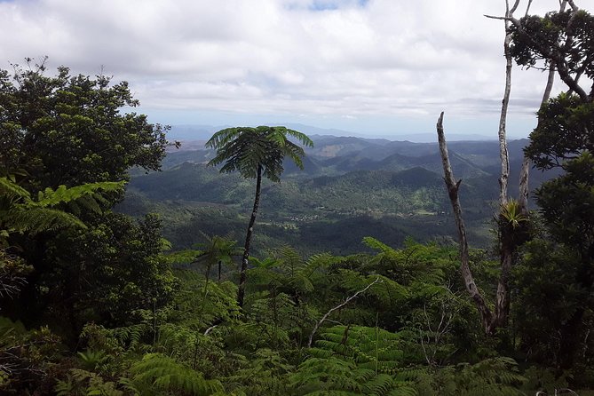 Private Breathtaking Mnt Victoria Day Trek - Nadarivatu to Navai Village: Mountain Roads, Volcanic Backdrops, and a Real Change of Terrain