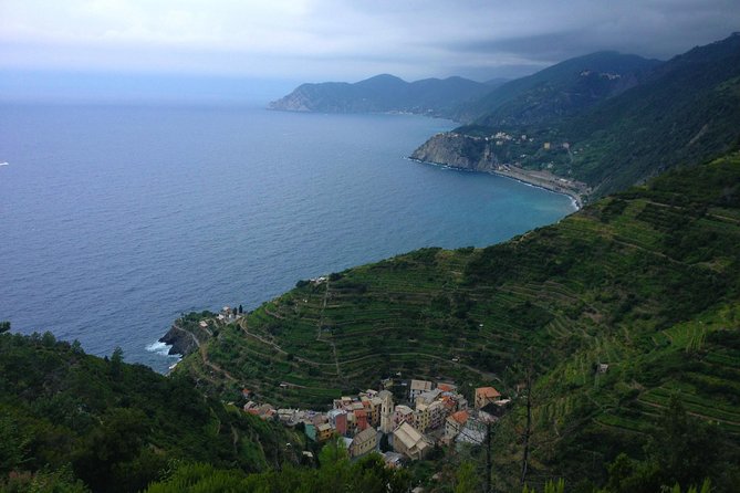 Private Cinque Terre Trek & Tour - Private Cinque Terre trek vs bus tours: what actually changes