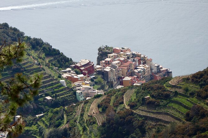 Private Cinque Terre Trek & Tour - Local guide in the lead: Pall and Brigitte’s approach to pacing