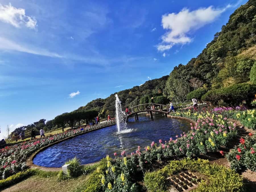 Private Doi Inthanon With Trekking Pha Dok Siew Nature Trail - Key Things to Know Before You Go