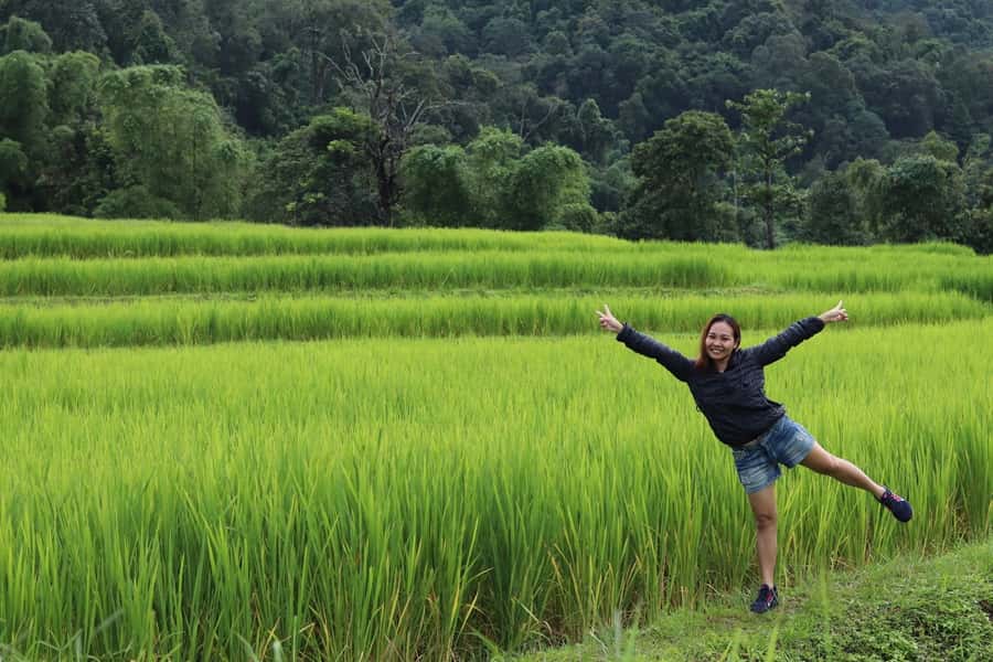 Private Doi Inthanon With Trekking Pha Dok Siew Nature Trail - From Chiang Mai to the Cool Air at Doi Inthanon